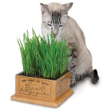 Smart Cat™ Kitty's Garden